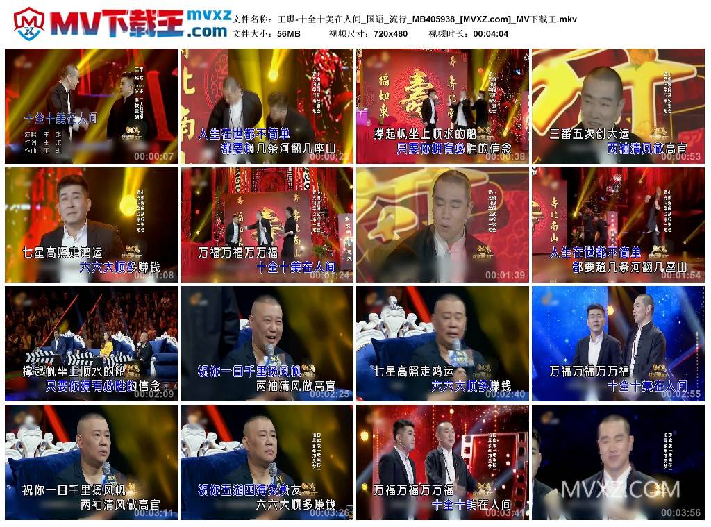 王琪-十全十美在人间_国语_流行_MB405938